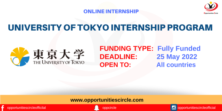 University of Tokyo Internship