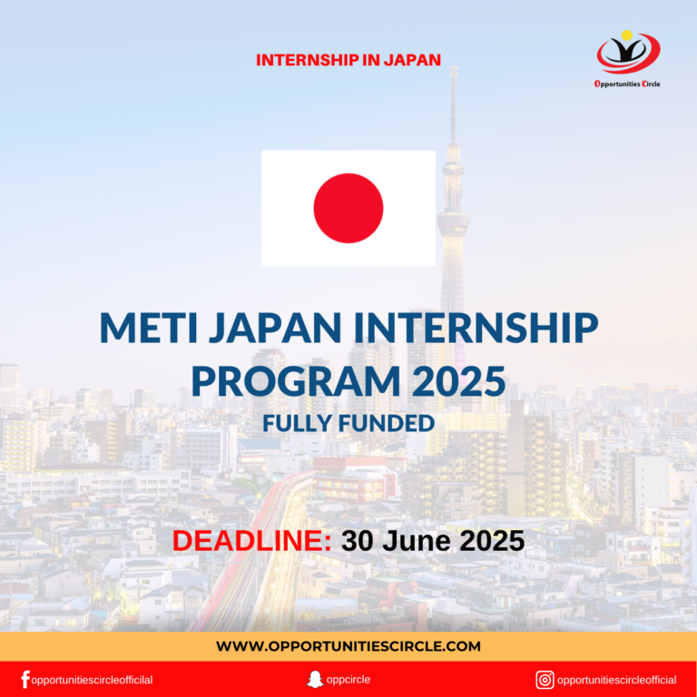 METI Japan Internship Program 2025