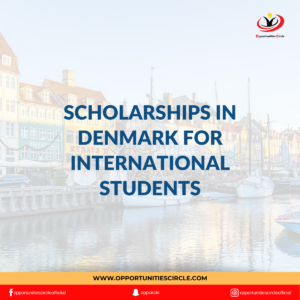 Scholarships in Denmark for International Students