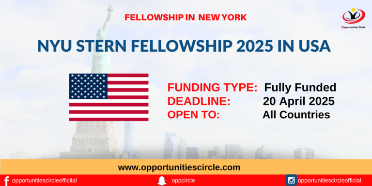 NYU Stern Fellowship 2025 in USA