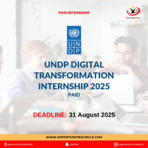 UNDP Digital Transformation Internship 2025
