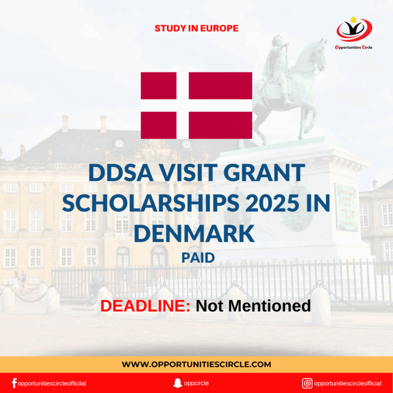 DDSA Visit Grant Scholarships 2025 in Denmark