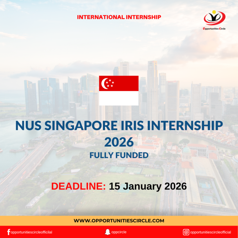 NUS Singapore IRIS Internship 2026