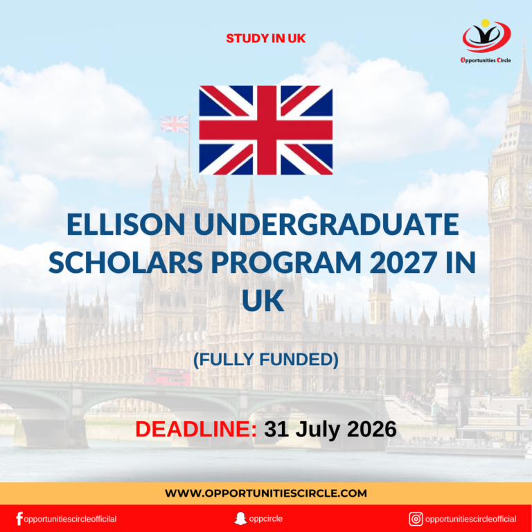 Ellison Undergraduate Scholars Program 2027 in UK
