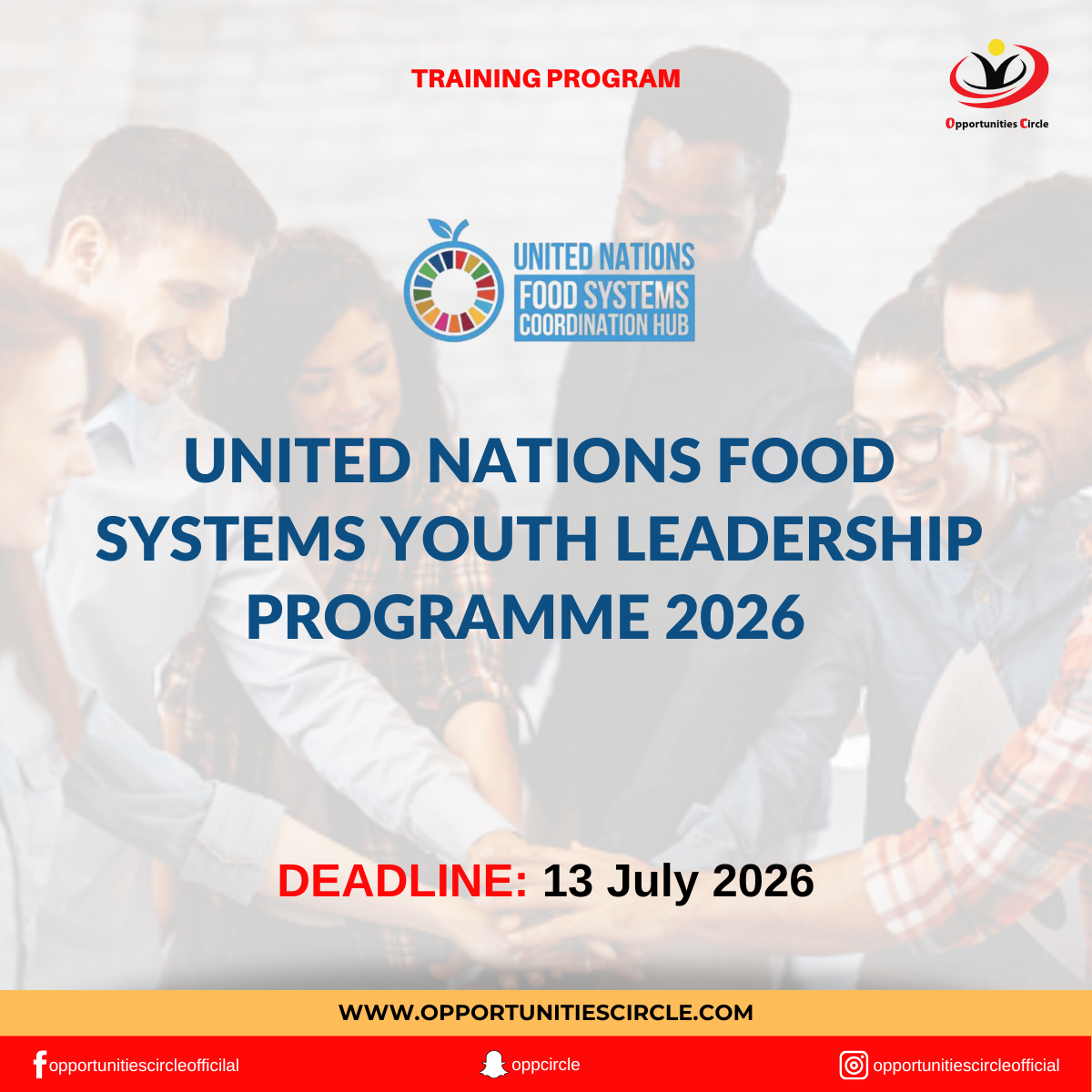 United Nations Food Systems Youth Leadership Programme 2026 ...
